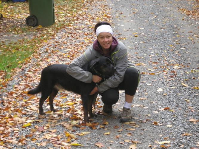 The Laughing Dog – Dog Boarding