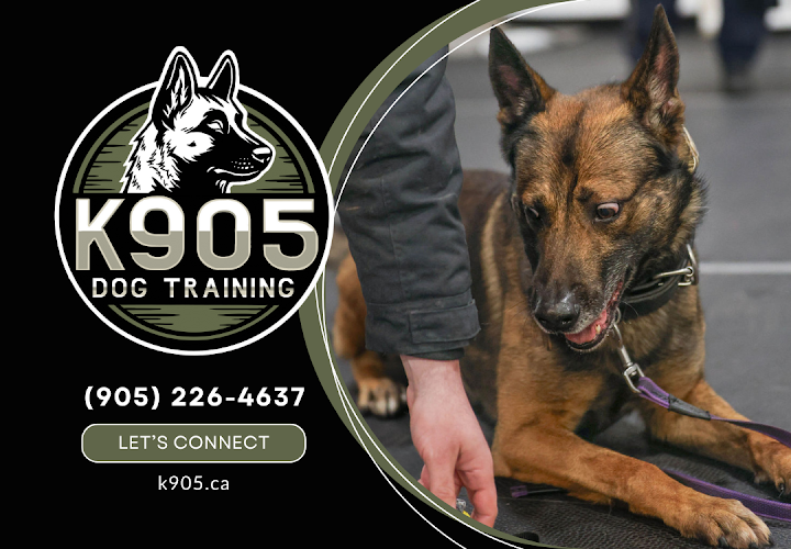 K905 Dog Training