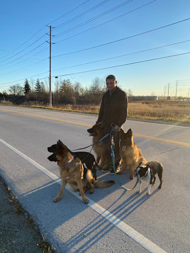 EugeneDogBoardingandTrainingRawdogfood