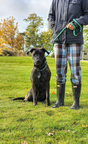 F.A.B.R Canine Psychology Ranch