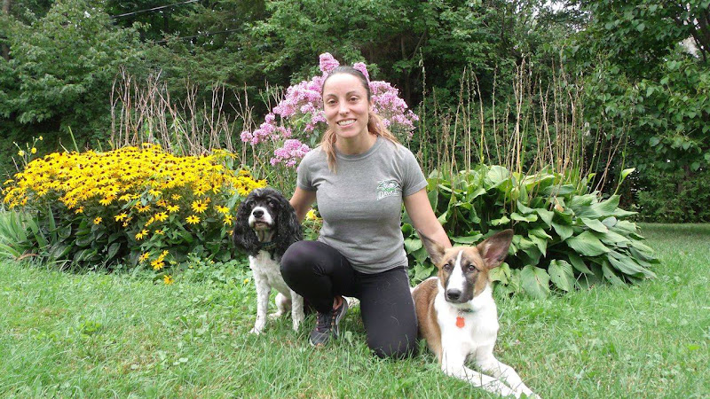 Nomad école Canine – Véronique Crombez