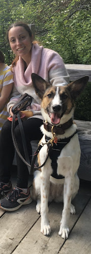 Nomad école Canine – Véronique Crombez