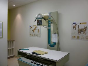 Clinique Vétérinaire Bellefeuille