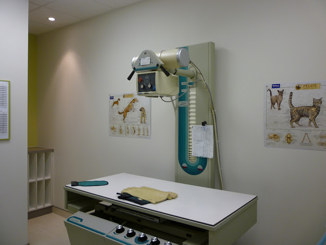 Clinique Vétérinaire Bellefeuille