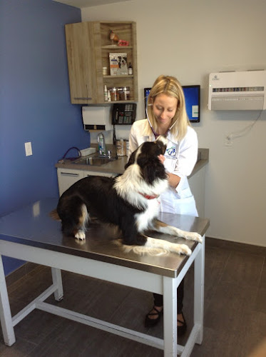Veterinary Clinic De Mascouche