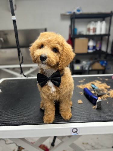 Royal Paws Dog Spa