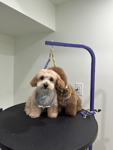 Hanabi Grooming Studio