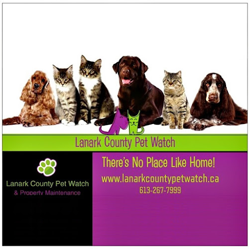lanark county pet watch