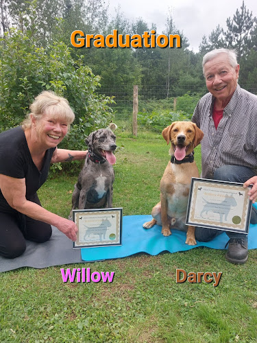 Loyal Companions Obedience Training