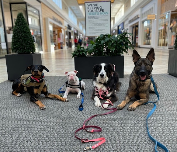 Heeling Souls K9 Training