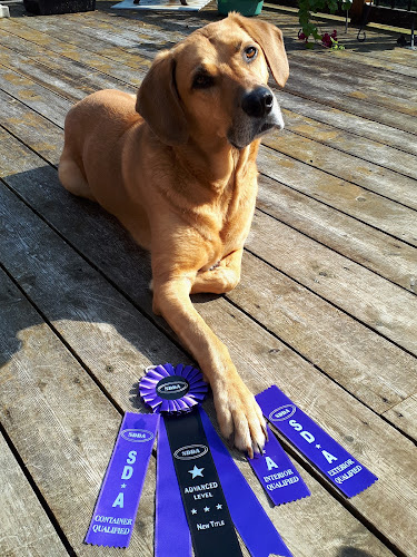 Scentsable K9