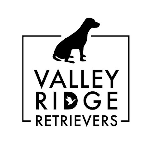 Valley Ridge Retrievers