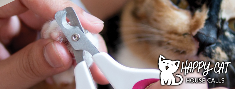 Happy Cat House Calls