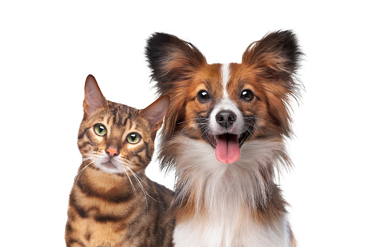 Waterloo West Animal Hospital Professional Corporation