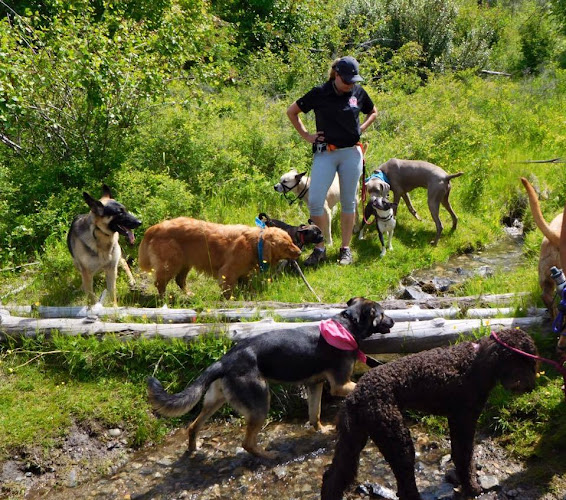 Prairieburn K9 Academy