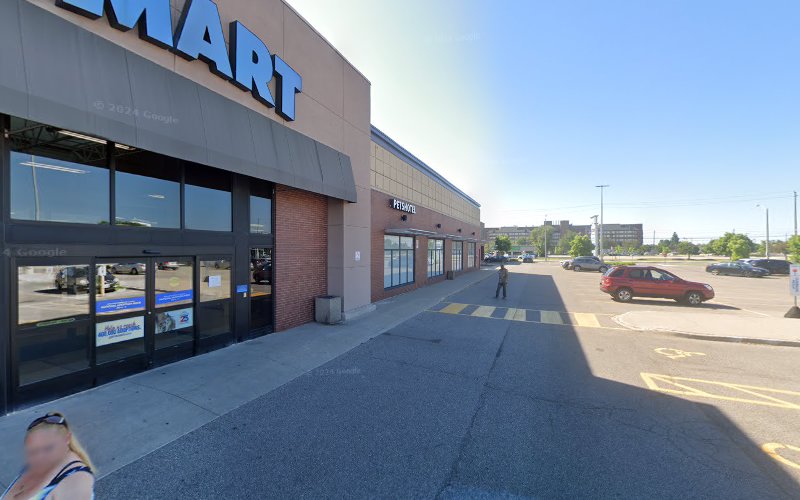PetSmart Dog Training