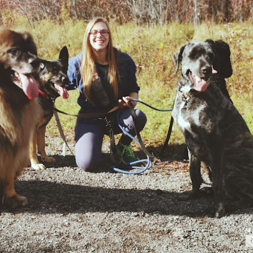 Cold Creek Dog Training Canada