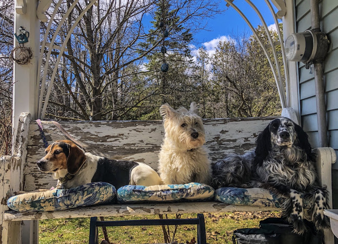 Oshawa Dog Club