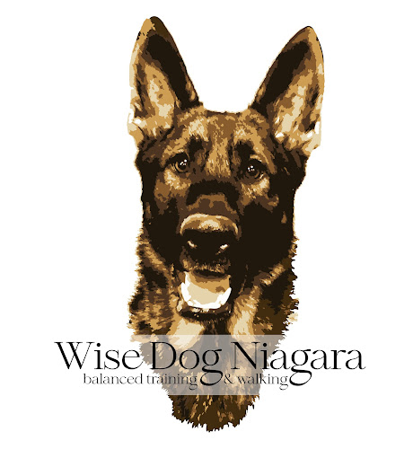 Wise Dog Niagara