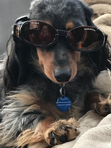 Rest Assured Pet Care