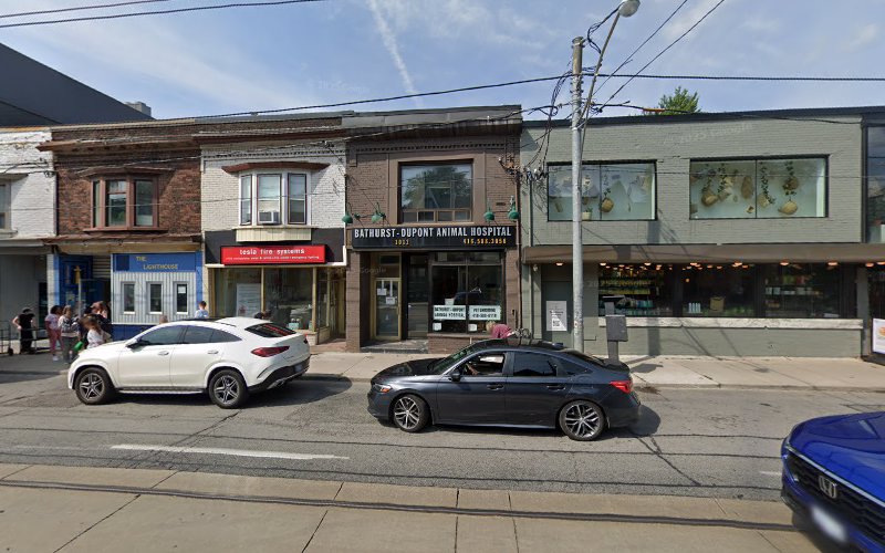 Bathurst Dupont Pet Grooming
