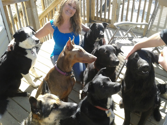 Auntie Shannon’s
