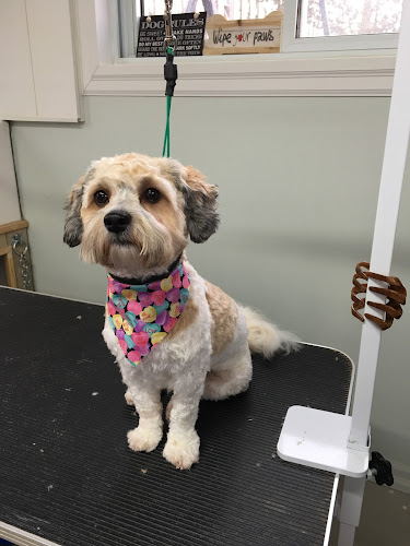 Hometown Kennels And Grooming