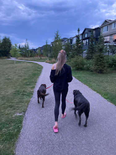 For the Love of Paws – Dog Walking, Cat Care and More