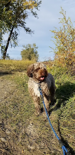 Woof Workout