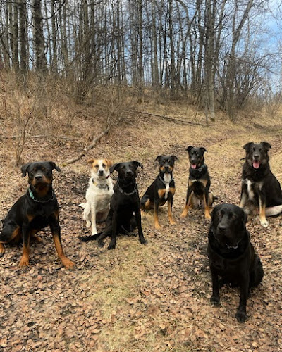 MuttsThatStrutYYC