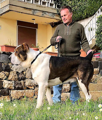 Animal Behaviorist, Dog whisperer, Zoopsychologist