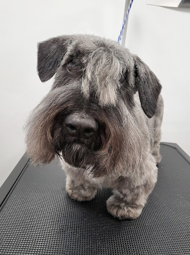 TLC Groomery